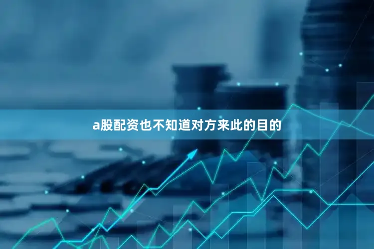 a股配资也不知道对方来此的目的