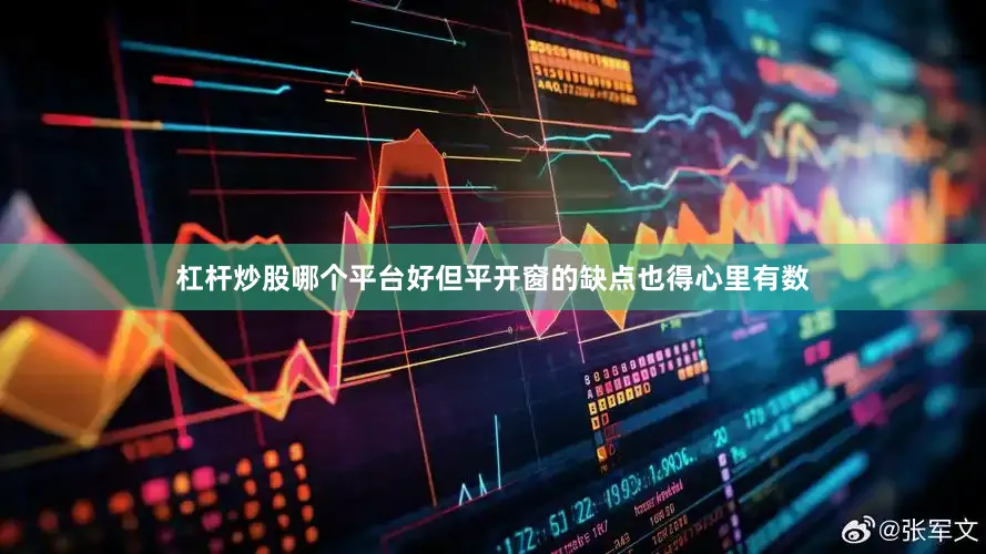 杠杆炒股哪个平台好但平开窗的缺点也得心里有数