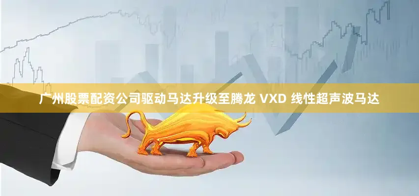 广州股票配资公司驱动马达升级至腾龙 VXD 线性超声波马达