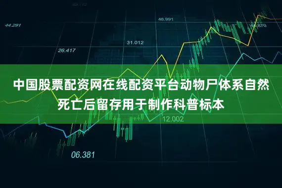 中国股票配资网在线配资平台动物尸体系自然死亡后留存用于制作科普标本