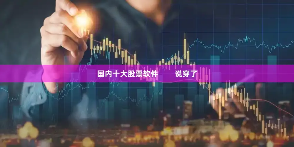 国内十大股票软件        说穿了
